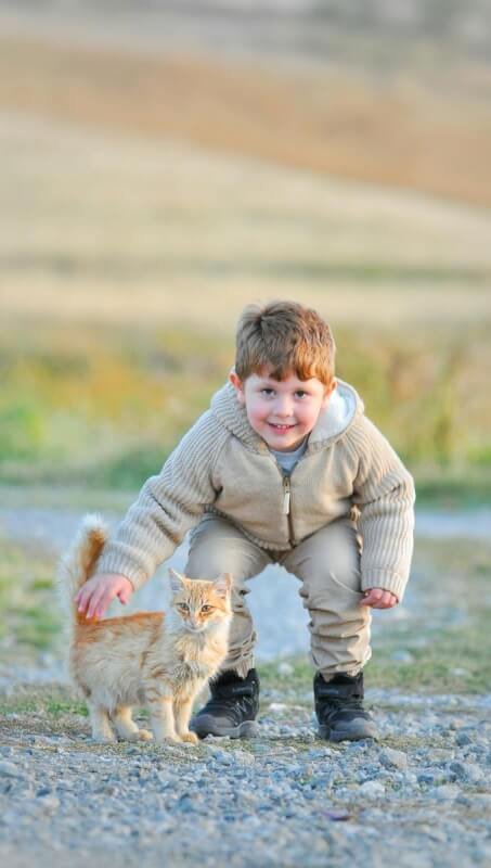 Small Boy Petting a Ginger Cat